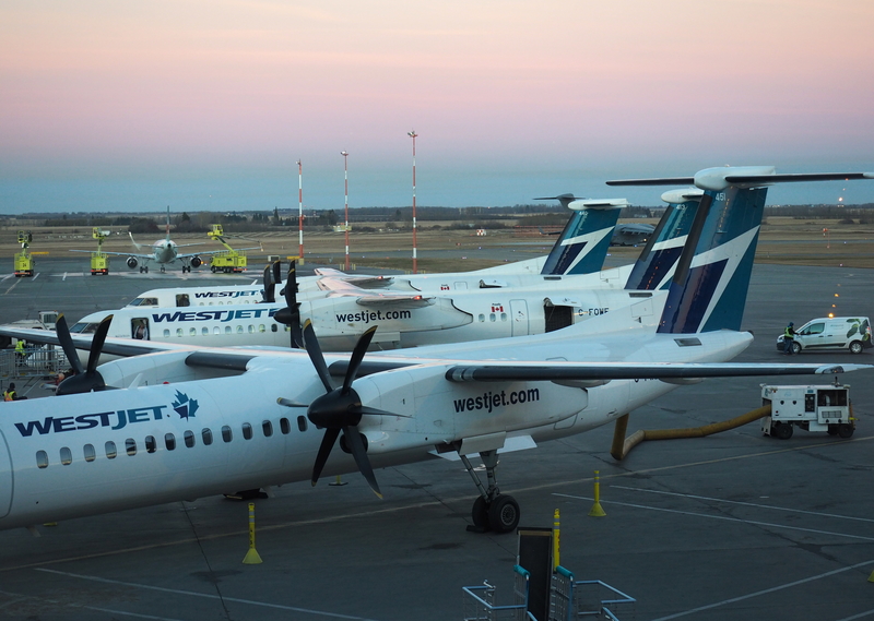 Edmonton Airport is a focus city for WestJet.